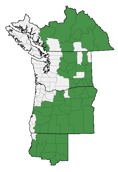 Map of where plant is found