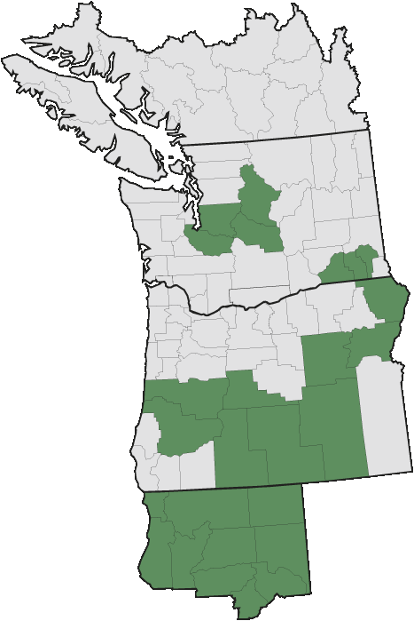 Map of where plant is found