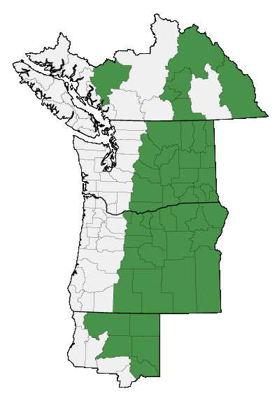 Map of where plant is found