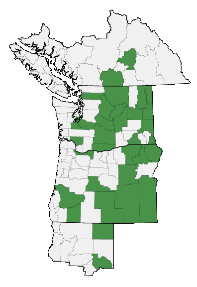 Map of where plant is found