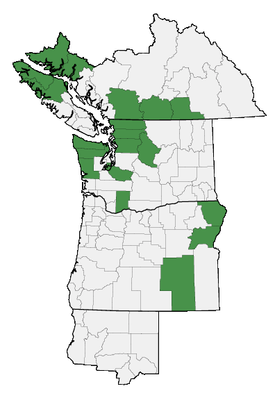 Map of where plant is found