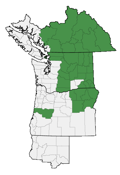 Map of where plant is found