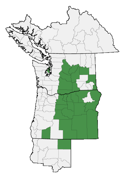 Map of where plant is found