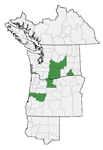 Map of where plant is found