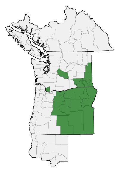 Map of where plant is found