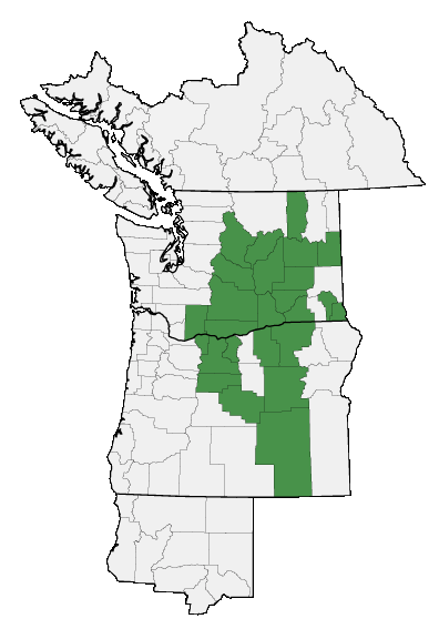 Map of where plant is found