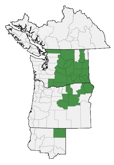 Map of where plant is found