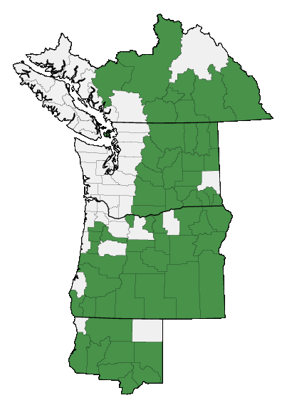 Map of where plant is found