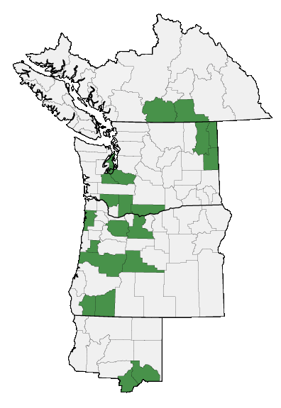 Map of where plant is found