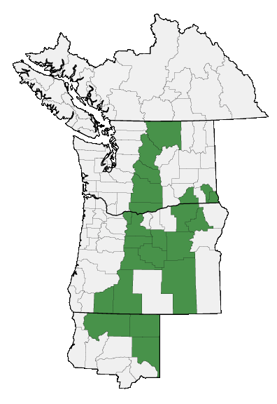 Map of where plant is found