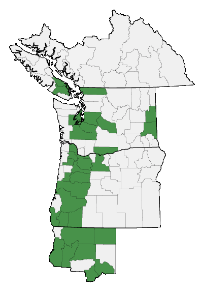 Map of where plant is found