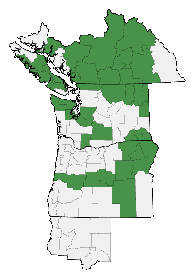 Map of where plant is found