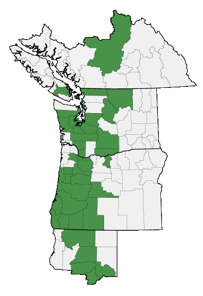 Map of where plant is found