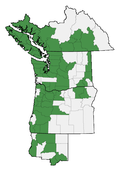 Map of where plant is found