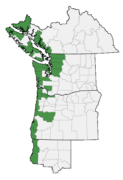 Map of where plant is found