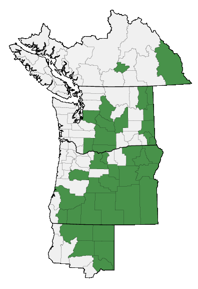 Map of where plant is found