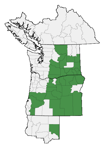 Map of where plant is found