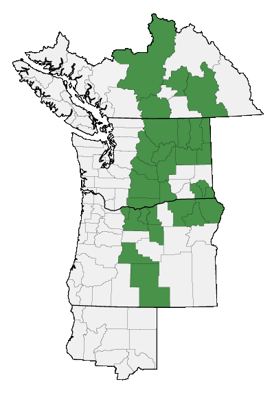 Map of where plant is found