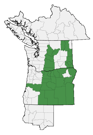 Map of where plant is found