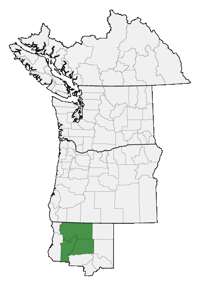 Map of where plant is found