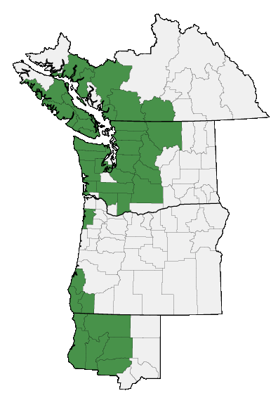 Map of where plant is found