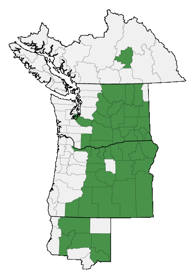 Map of where plant is found