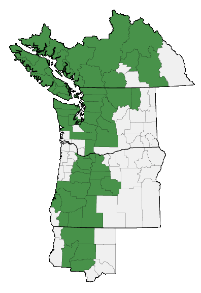 Map of where plant is found