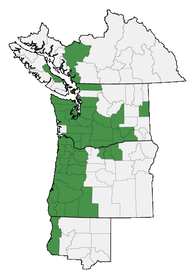 Map of where plant is found