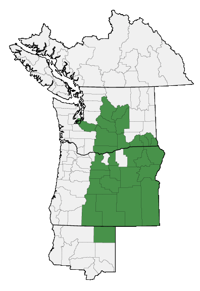 Map of where plant is found