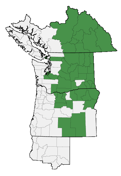 Map of where plant is found