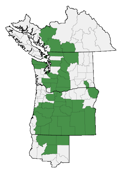 Map of where plant is found