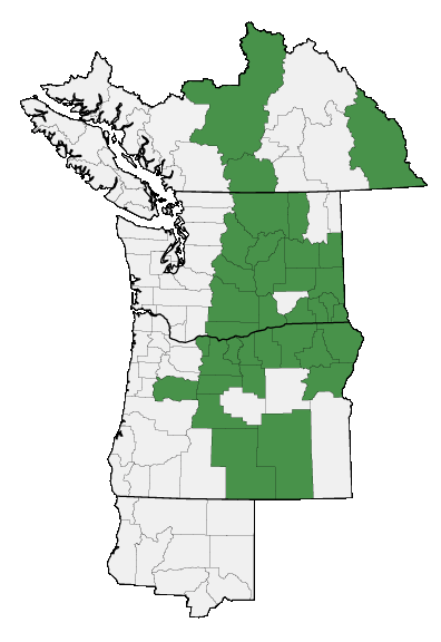 Map of where plant is found