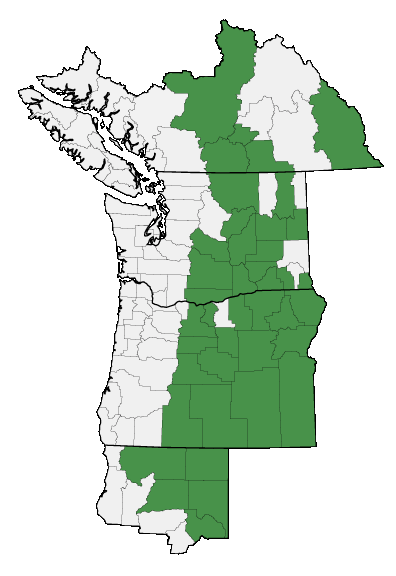 Map of where plant is found