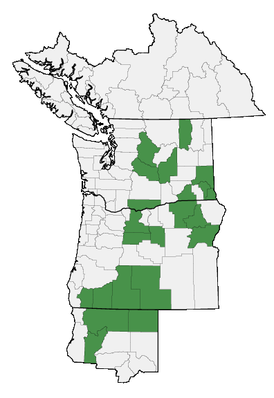 Map of where plant is found