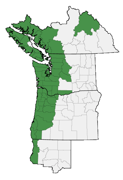 Map of where plant is found