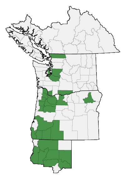 Map of where plant is found