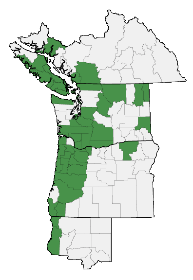 Map of where plant is found