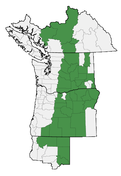 Map of where plant is found