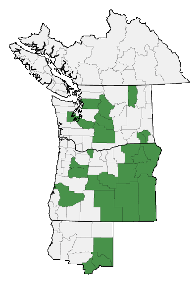 Map of where plant is found