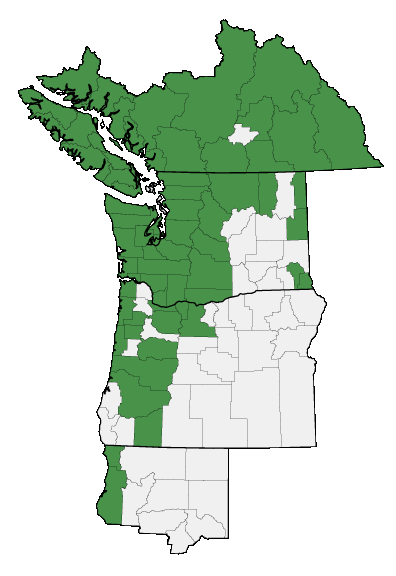 Map of where plant is found