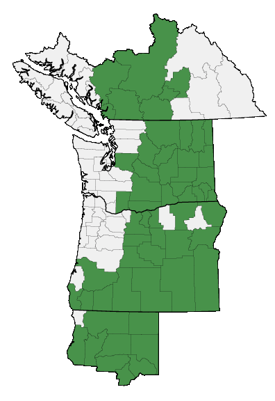 Map of where plant is found