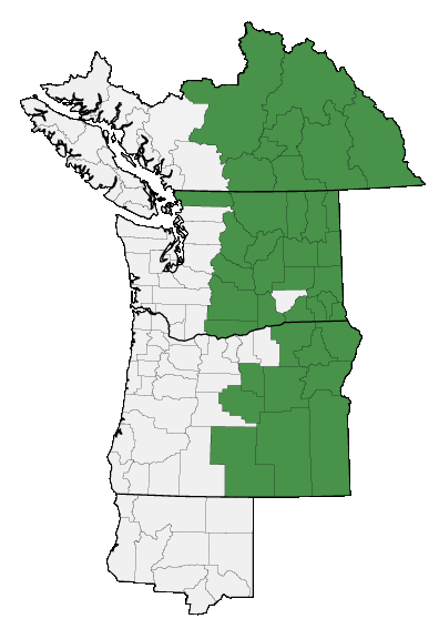 Map of where plant is found