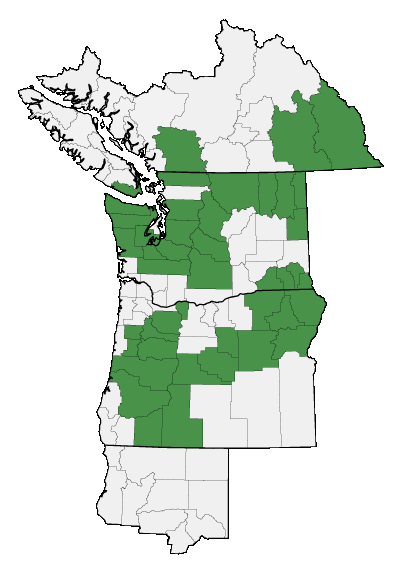 Map of where plant is found