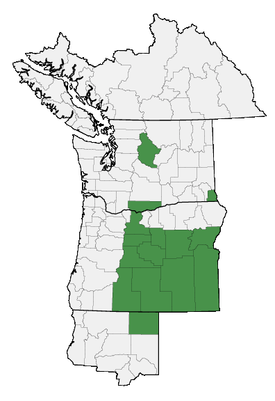 Map of where plant is found