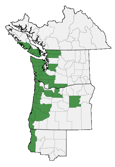 Map of where plant is found