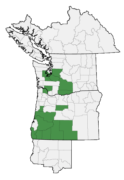 Map of where plant is found