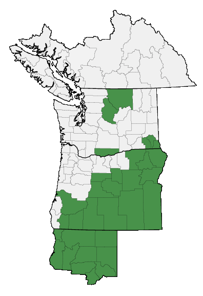 Map of where plant is found