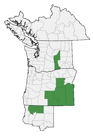 Map of where plant is found