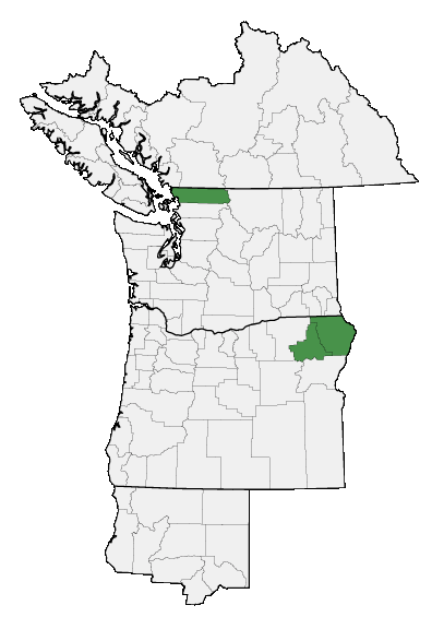 Map of where plant is found