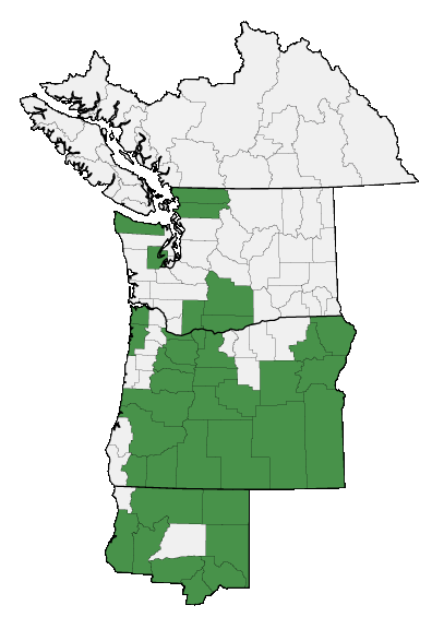 Map of where plant is found